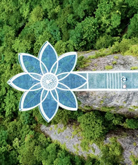 СС���ɾӵ��������£�