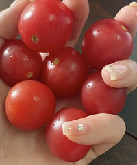 ��Ϸ��ʣ�ÿ���С���ѣ�����ܱ����?