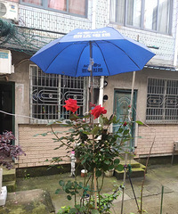 �����ʢ�����¼������