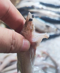 ͻȻ���ǣ�54Ԫ/����㽭�����ˣ���ô��������ˣ��̼�����