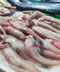 ͻȻ���ǣ�54Ԫ/����㽭�����ˣ���ô��������ˣ��̼�����