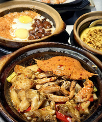 �������ʲô�������ŵ����ŹǺóԽ����ۻ���