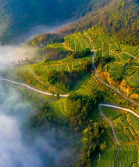 ̨���й����ռ�����滮��ʡ��������ͬ�⣡