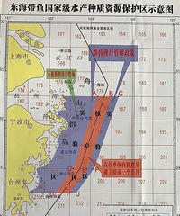 ��ȷ��ֹ��Ϊ����������