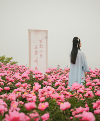 ��ɽ��Ұ����ҩ����ʢ�ţ��ڻ��ң�����һ����ɫ��