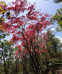 ����̣ܶ����ž黨����