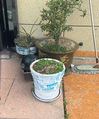 �ٺ���ͷ���֡��ɻ����������������¶ϸ�ڡ���