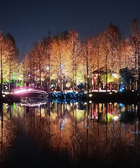 34�꽷��������177����������������װ�ޣ����������Ů��