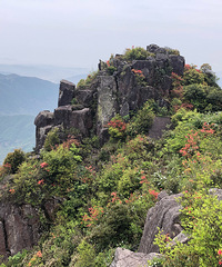 ����һ���Σ����ɳ̲���й������غ���½��������ɳ̲