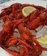 �������ʲô��������Ϻ����������������