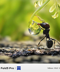 Ϊʲôһ��������ȫ�ǹ��ٳ�