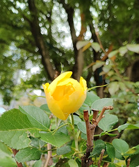 ���ڻ��������İ����������Ǿ�����ʧ�ܻ�����