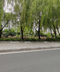 ̨��Ҳ�з�����������Ϊֻ�б�����