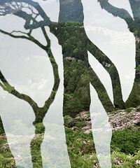 [����]������������ƽ��ž�