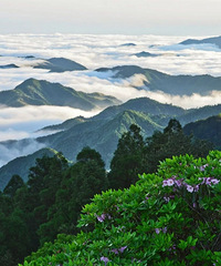 �ϴ�ɽ���ʹ�����������������ƽ��ž飬��ת�����м�~