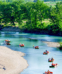 ����ϪƯ�� |���������Ĺȣ�ɽˮ���۴�����