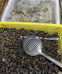 �������ʲô������7Ԫһ��