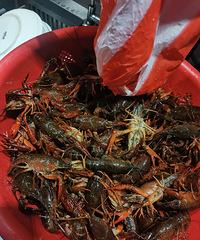 �������ʲô���˳�����5����Ϻ����ͦ�ɾ���