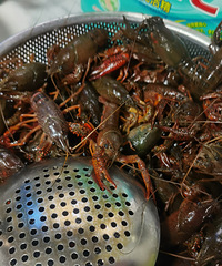 �������ʲô������С��Ϻ