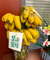 һҹ����̨�ݹ���ɹ���칫��һĻ�������Բ��꣡�����ᵽ�̻�