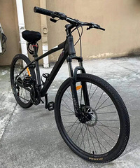 ɽ�س����������������˱���ʱ��������