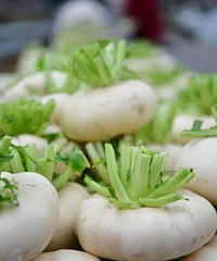 ̨����10�����ز����ϰ�ʡ��������