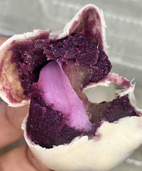 ��Ҫ�����Ŀ��top1�ĵ�֬��ʳ�����ߵ�