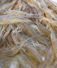 ̨����10�����ز����ϰ�ʡ��������