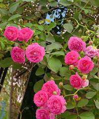 Ǿޱ������������������ĩ