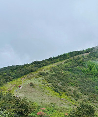 ͽ��̨�ݵڶ��߷����ɽ��17������ʱ8Сʱ