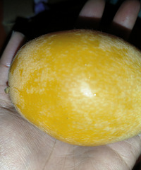 25һ������˹󲻹�