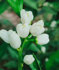 ����ȥ�ٺ���·���ߣ�һ·����һ·��