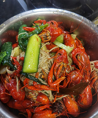 �������ʲô��100Ԫʮ���С��Ϻ