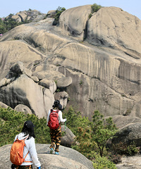 ��2024�μǡ��������Ǵ���ɽ�������ݱ����ž�