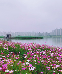 ������һ����������������ɣ����