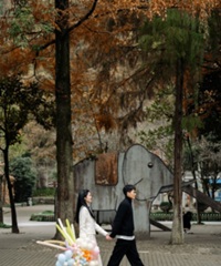 ��������֤��23.11.30