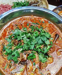 �������ʲô������Ҳ��ð��Ѽר�ŵĵ���