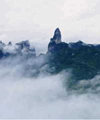 �ϰ���ͣ����һ���ڣ������ɾ�����ɽ��