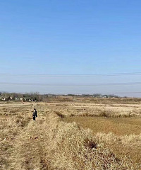 �벻���ף�ũ����������ô����Թ������򲡡��Գ�Ѫ��