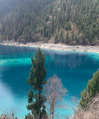 ��һ����ǰ��һ�����Σ��Ĵ���֮������կ��