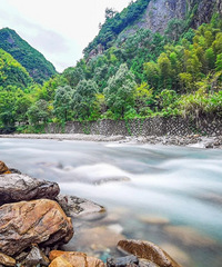 ���ɾӾ���5��1����ƱԤԼ�������ɾ���������ͬ�����ݴ���