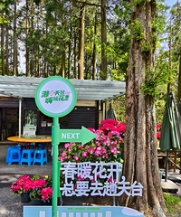 ��һ̽����̨ɽ������Сtips���㳩�����ǣ�