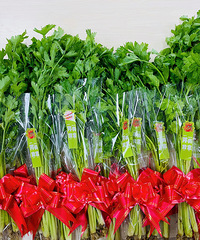 ��һ��λ������۲��۲������¸�