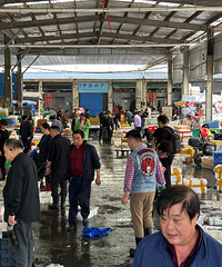 ����12ʱ��̨�ݽ���ʽ���롭��