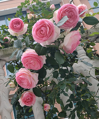 ʱ���е�Ǿޱ��