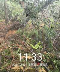 ̽������߷�����ڣ�������ӽ籮����ͤ