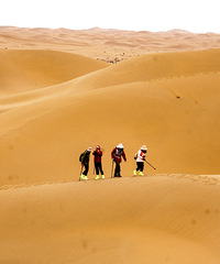 �ڸ���ɳĮ������