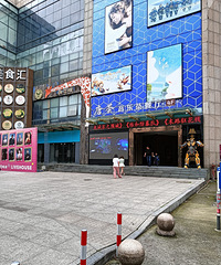 ����̳�Ӧ������������������