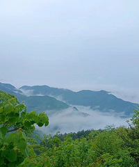 �����˼����һƬ�ž飺��������ĵ�������