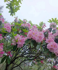 �����˼����һƬ�ž飺��������ĵ�������